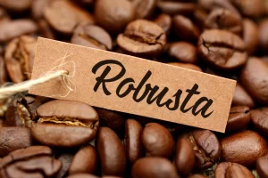 Giá cà phê Robusta giao dịch tại London